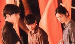 娱乐圈八卦绯闻爆料视频,明星背后的秘密大曝光