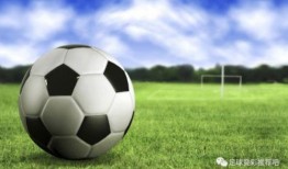 波兰足球爆料视频最新下载,揭秘赛场幕后风云